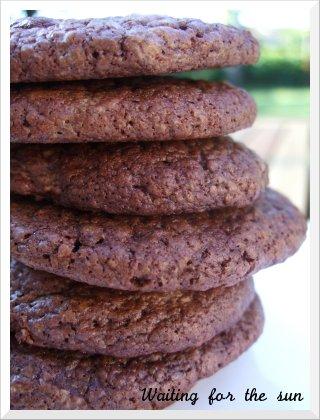≈ outrageous chocolate cookies ≈