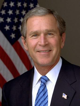 bushjpeg.jpg