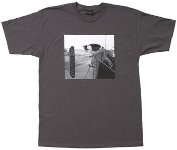 Monsieur T - Fall Collection