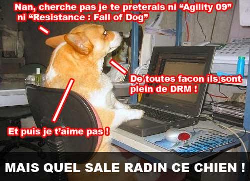 DRM