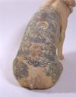 cochon tatoué dos