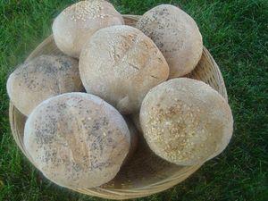 Le menu d'hier soir DSC08819