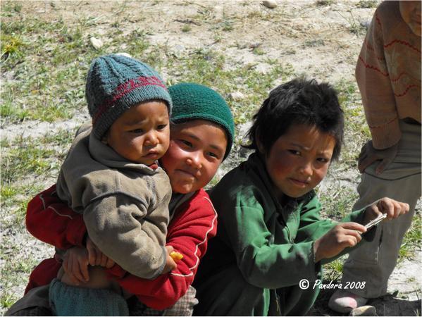 Zanskar: belles et beaux des champs