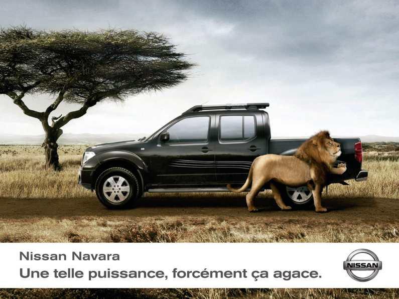 Nissan_navara_lion