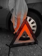 Ce que le fluo masque P1020746.JPG