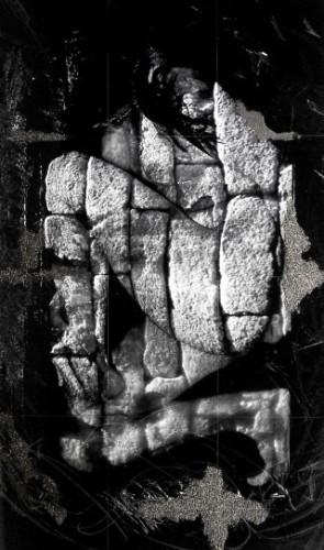 Venus as a Boy la nuit prometteuse.jpg