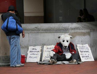 Mark Jenkins Homeless Polar Bear