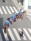 Police montée en Seine-Saint-Denis contre les voyous