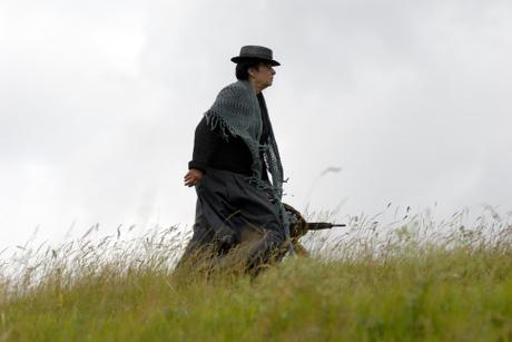 les fleurs de séraphine les fleurs de séraphine