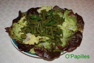 haricots-verts-salade01.jpg