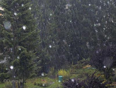 Photo du jour: 3 octobre 2008 Première neige à La Chaux-de-Fonds