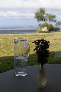 Chez Michel et Sebastien Bras IMGP6803