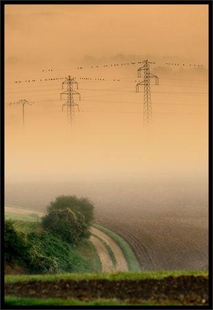 Ambiances matinales IMGP0232