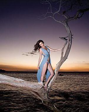 dominic-petruzzi Dominic Petruzzi