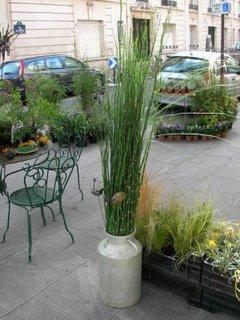 Visite à Mini Hortus cet apres-midi