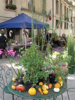 Visite à Mini Hortus cet apres-midi