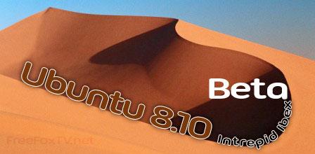 Sortie d'Ubuntu 8.10 Bêta