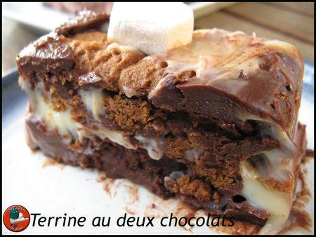 Terrine_au_deux_chocolats