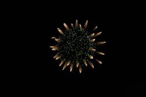 Maintenance du Lac des Signes Maintenance du Lac des Signes