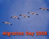 Migration Day 2008 Migration Day 2008
