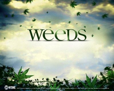 Weeds (saisons 1 à 4)