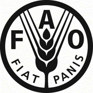 Un rapport de la FAO émet des doutes sur les biocarburants