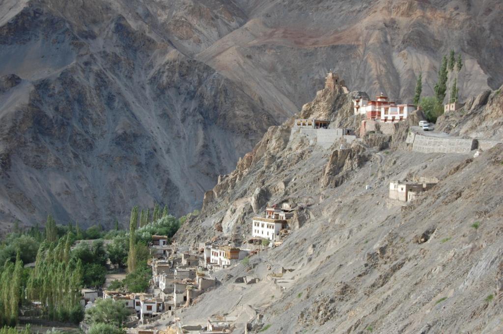 Les abricots d’Alchi inde2008-652.1221944806.jpg