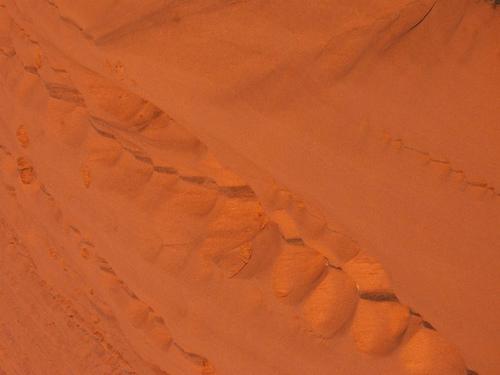 Australie : Uluru #50