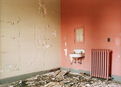 David Maisel