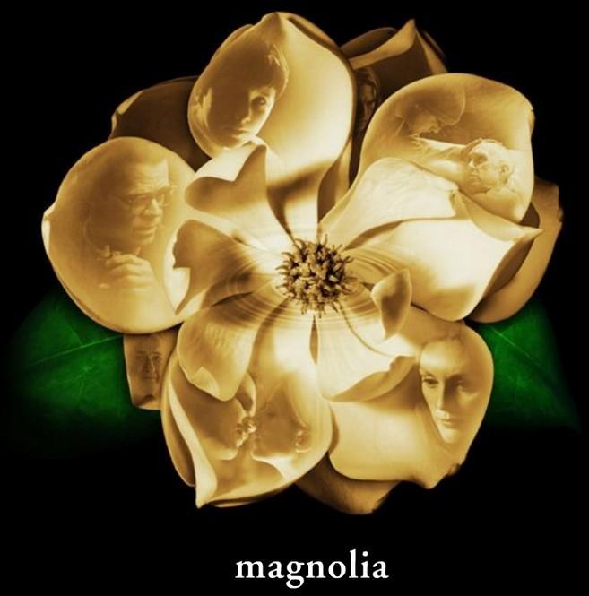 magnolia-1-1024.jpg