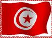 Moussaka de poisson à la tunisienne tunis Pictures, Images and Photos