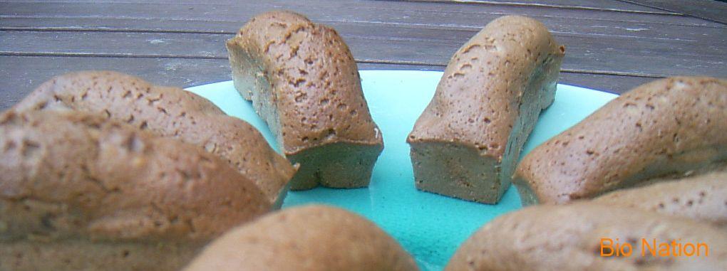 Mini cake chocolat noix cake1