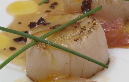 Coquilles Saint Jacques: agrumes et grué de cacao, une recette inspirée de Christian Têtedoie SJ_ET_GRUE_3