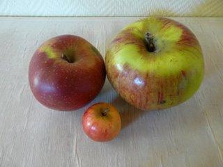 Gâteau aux pommes façon tarte tellement bon ...