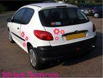 Des stickers mais pas pour les murs 206fleursroses6pt