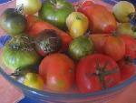 Les jolies colonies de vacances... ou pas Les jolies colonies de vacances... ou pas