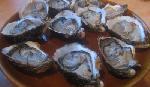 Les jolies colonies de vacances... ou pas Les jolies colonies de vacances... ou pas