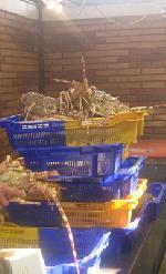 Les jolies colonies de vacances... ou pas Les jolies colonies de vacances... ou pas