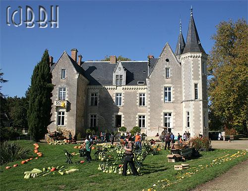 cucurbitacé potiron citrouille coloquinthe scène château montriou 2008