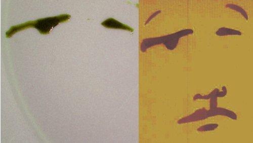 Pas nés sous la même étoile Image