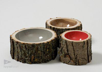 log-bowls-03.jpg, oct 2008 log-bowls-03.jpg