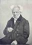 Comment devenir pirate ? Voici la recette. Secrets des paradis fiscaux Schopenhauer, Arthur