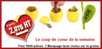 Graine de Pub Graine de Pub
