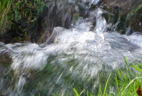 Usages domestiques de l’eau de pluie - Nouvelle réglementation et prévention des risques sanitaires
