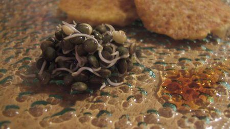 Gaies galettes lentilles