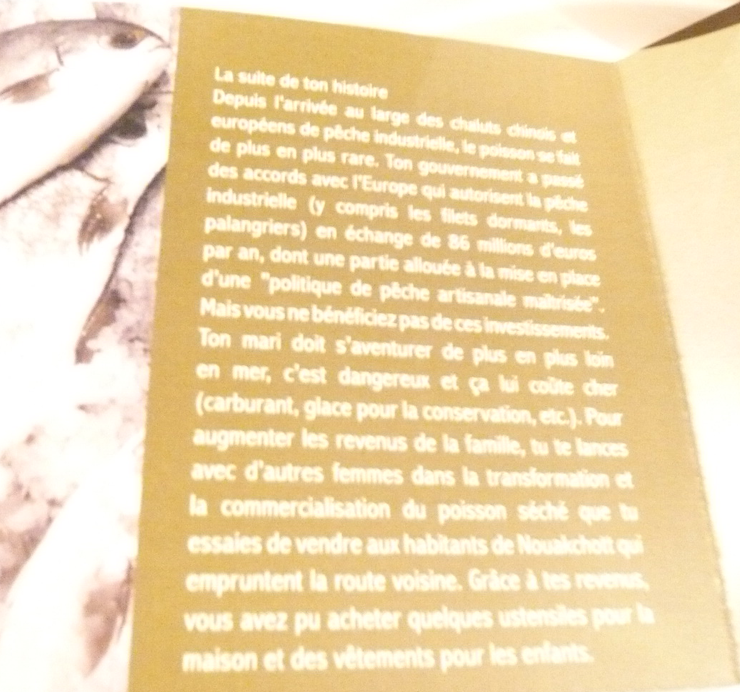 festin_solidaire_octobre_2008_8