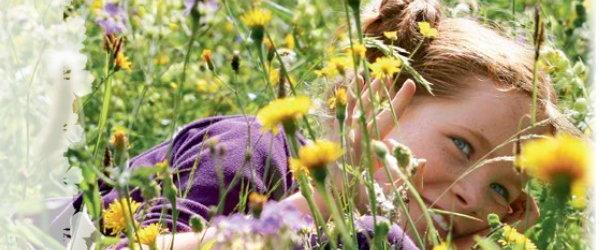 le-renard-et-lenfant