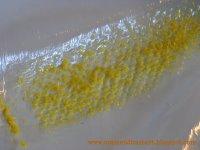 Les Zestes... Méthode Facile d'Extraction!!