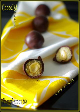 Bouchées au chocolat, pâte d'amande au pamplemousse et coeur croquant ... pour souffler ma 1ère bougie Bouchées au chocolat, pâte d'amande au pamplemousse et coeur croquant ... pour souffler ma 1ère bougie