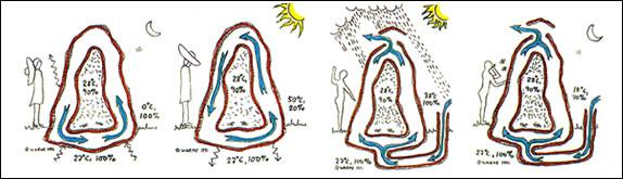 Imitons la nature pour innover!